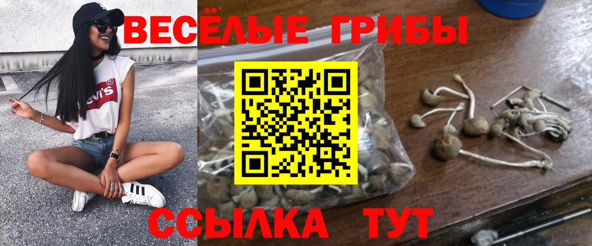 Алексеевка  купить наркотик  Псилоцибиновые грибы Magic Shrooms  Вход с VPN  Галлюциногенные грибы Psilocybine cubensis 