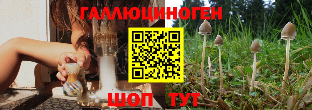 Псилоцибиновые грибы Magic Shrooms Алексеевка